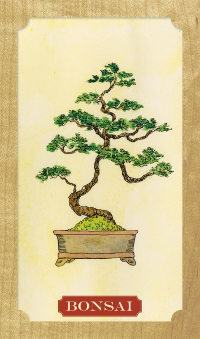 Tree-of-Life-Oracle-2