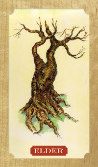 Tree-of-Life-Oracle-3