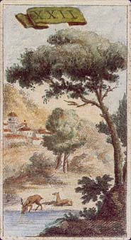 Ancient Minchiate Etruria Tarot