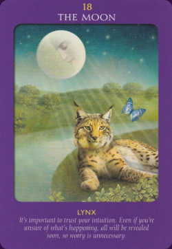 Animal-Tarot-Cards-5