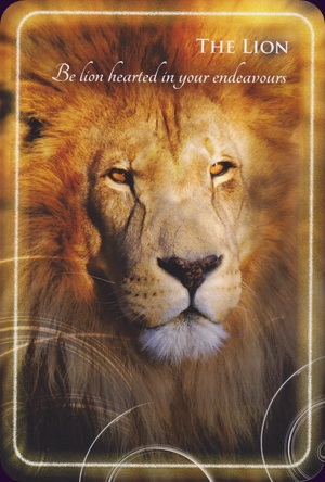 Animal-Whispers-Empowerment-Cards-6