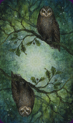 Forest of Enchantment Tarot8