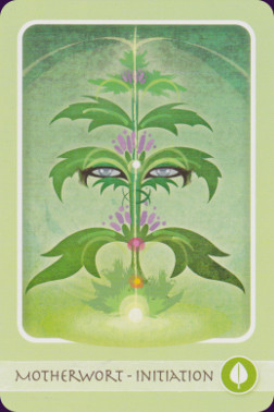 Herbal-Healing-Deck-6