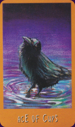 Ravens-Prophecy-Tarot-5