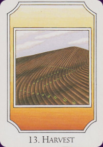 Rune-Cards-5