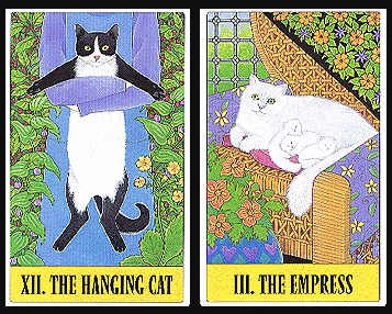 Tarot for Cats